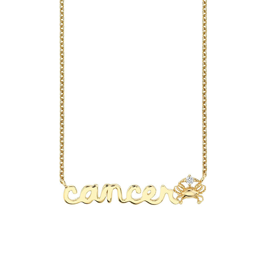 Gold & Diamond Zodiac Script Necklace