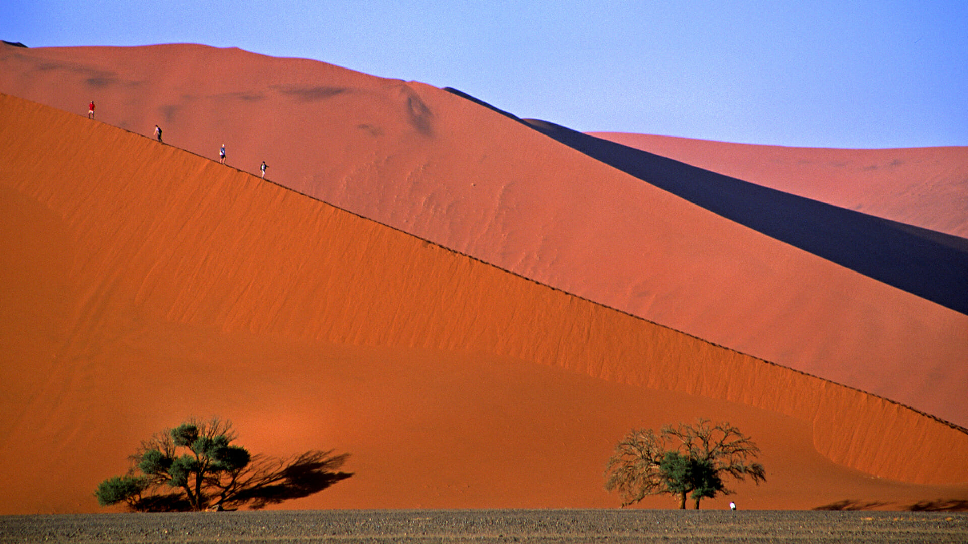 namibia dunes