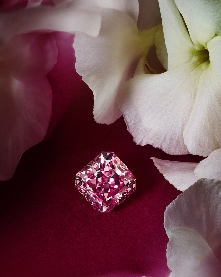 Maison Mazerea pink diamond