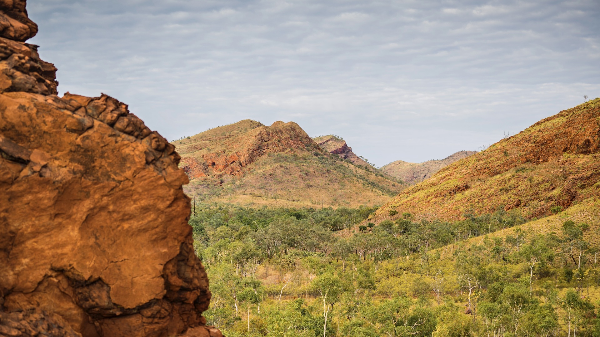 Nature surrounding Rio Tinto's Argyle Diamond Mine in Western Australia since it has closed. 